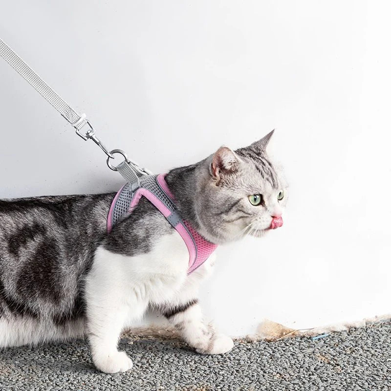 Comfort-Fit Escape-Proof Cat Harness & Leash Set - Adjustable, Reflective, and Breathable Mesh Vest