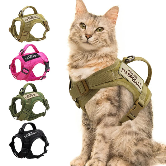 Comfy Cat Commando Harness: Perfect Fit for Paws on Patrol